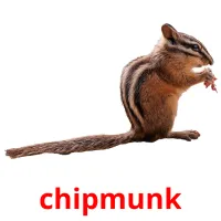 chipmunk billedkort for børn med billeder