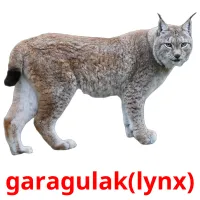 garagulak(lynx) billedkort for børn med billeder