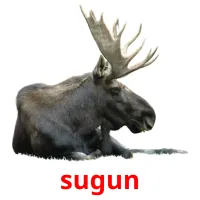 sugun billedkort for børn med billeder