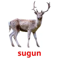 sugun billedkort for børn med billeder