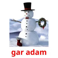 gar adam kuvakortit