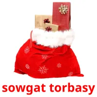 sowgat torbasy kuvakortit