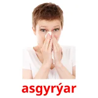 asgyrýar picture flashcards
