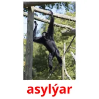 asylýar picture flashcards