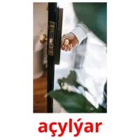 açylýar picture flashcards
