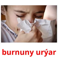 burnuny urýar picture flashcards