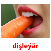 dişleýär picture flashcards