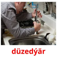 düzedýär picture flashcards