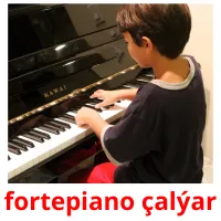 fortepiano çalýar picture flashcards