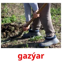 gazýar picture flashcards