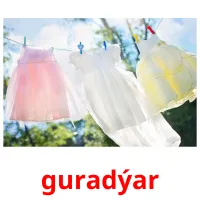 guradýar picture flashcards
