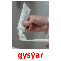 gysýar picture flashcards