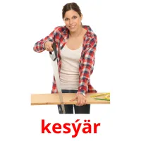 kesýär picture flashcards