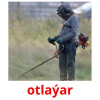 otlaýar picture flashcards