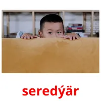 seredýär picture flashcards
