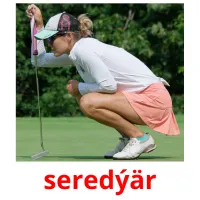 seredýär picture flashcards