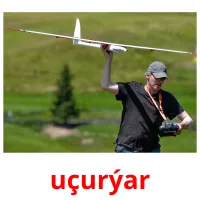 uçurýar picture flashcards
