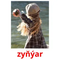 zyňýar picture flashcards