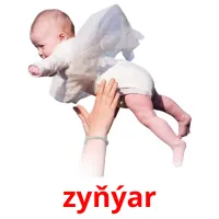 zyňýar picture flashcards