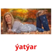 ýatýar picture flashcards