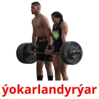 ýokarlandyrýar picture flashcards