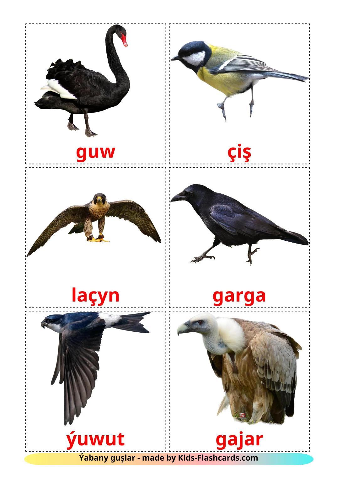 Wildvögel - 19 kostenlose, druckbare Turkmenisch Flashcards 
