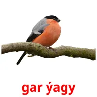 gar ýagy Bildkarteikarten
