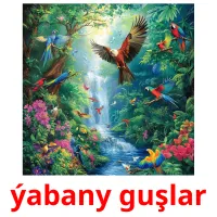ýabany guşlar Bildkarteikarten