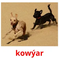 kowýar bildekort