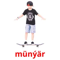 münýär bildekort