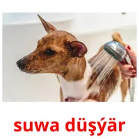 suwa düşýär карточки энциклопедических знаний