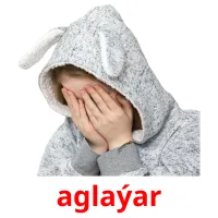 aglaýar picture flashcards