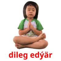 dileg edýär picture flashcards