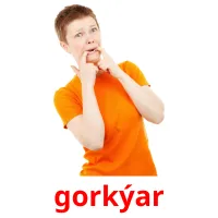 gorkýar picture flashcards
