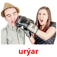 urýar picture flashcards