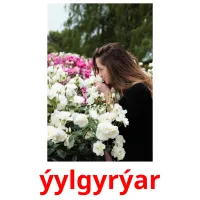 ýylgyrýar picture flashcards