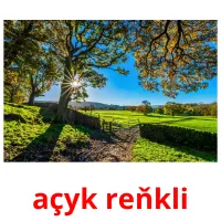 açyk reňkli cartes flash