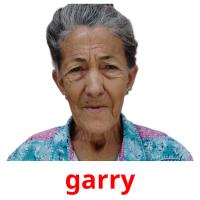 garry picture flashcards