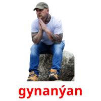 gynanýan picture flashcards
