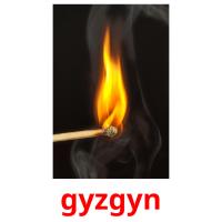 gyzgyn picture flashcards