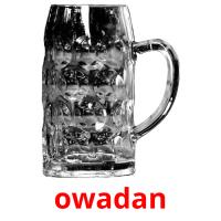 owadan picture flashcards