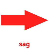 sag picture flashcards