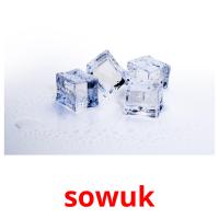 sowuk picture flashcards