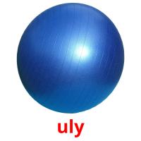 uly picture flashcards