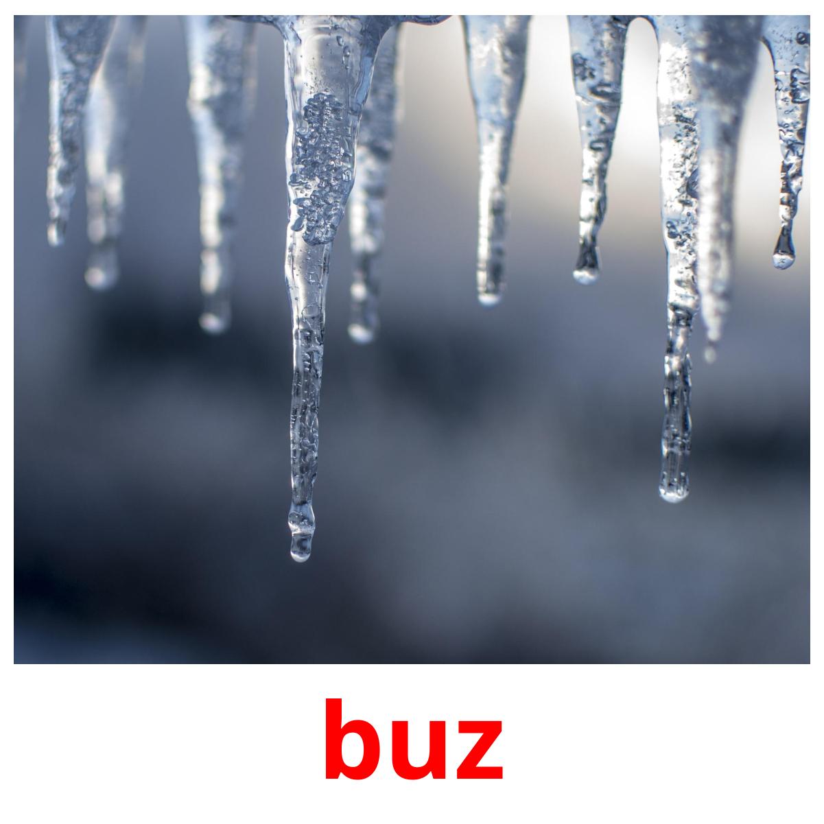 buz kuvakortit