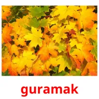 guramak billedkort for børn med billeder