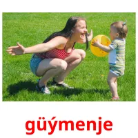 güýmenje kuvakortit
