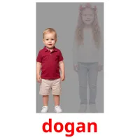 dogan kuvakortit