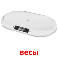 весы bildekort