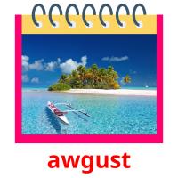 awgust picture flashcards